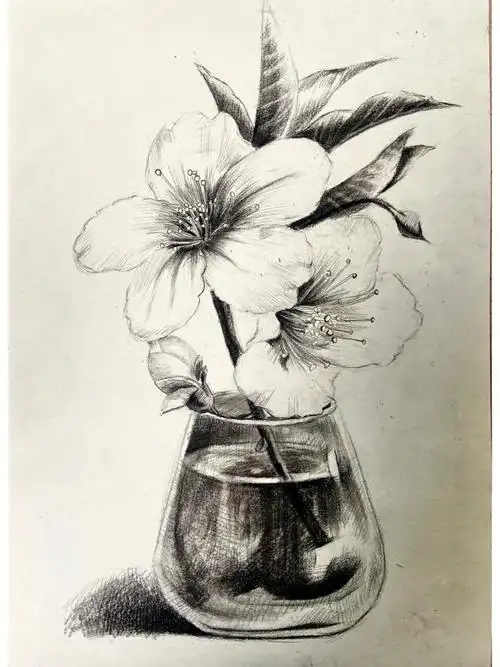 创意素描零基础都会画的步骤图