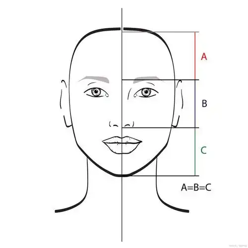 三庭五眼和四高三低的特征,这些特征共同构成了我们面部轮廓的基础