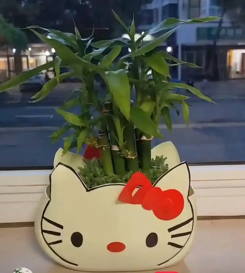 幼儿园环创  废物利用,自制幼儿园植物角花盆. - 抖音