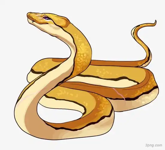 标签:矢量矢量黄金蟒蛇卡通图片黄金蟒矢量图矢量人物购物袋矢量矢量