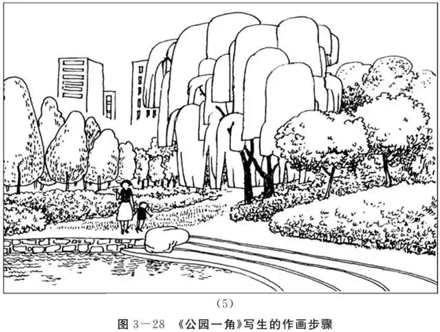 《公园一角》写生的作画步骤