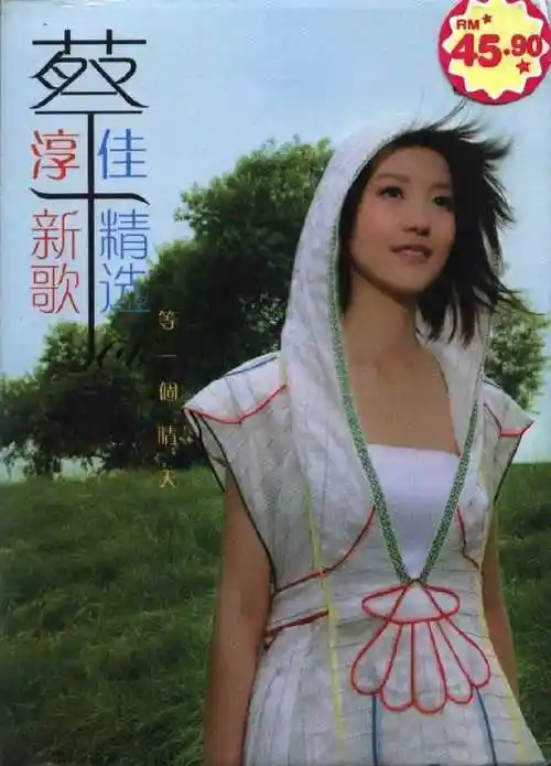蔡淳佳2006等一个晴天新歌精选2cd华纳wavcue