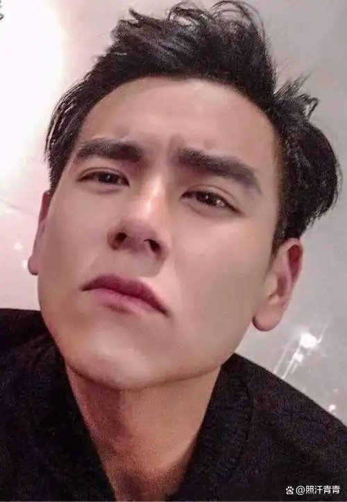 彭于晏:因抢位李冰冰资源下降,为蔡依林状告公司结果落雪藏下场