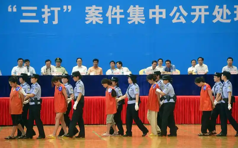 碰硬,深挖幕后保护伞;敢于冲破关系网,打掉利益链,铲除违法犯罪土