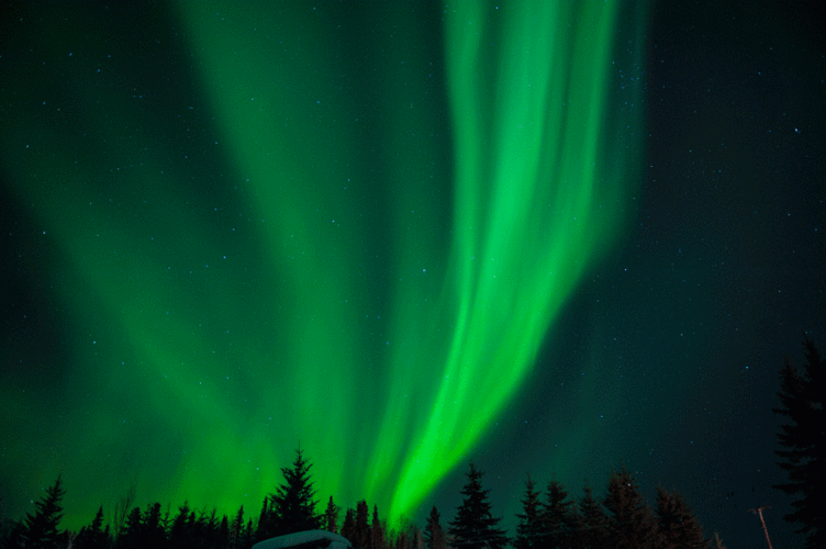 【素材】几张动态大图34*