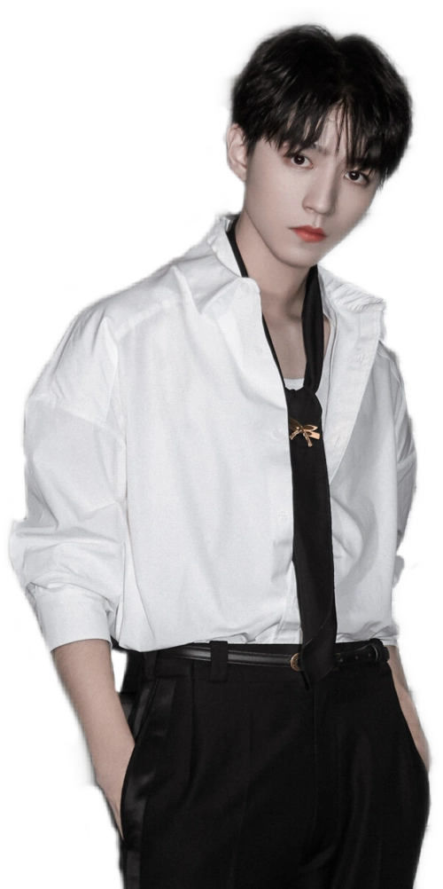 王俊凯橙光立绘 橙光素材 橙光立绘 明星立绘 王俊凯 赞 评论 收藏