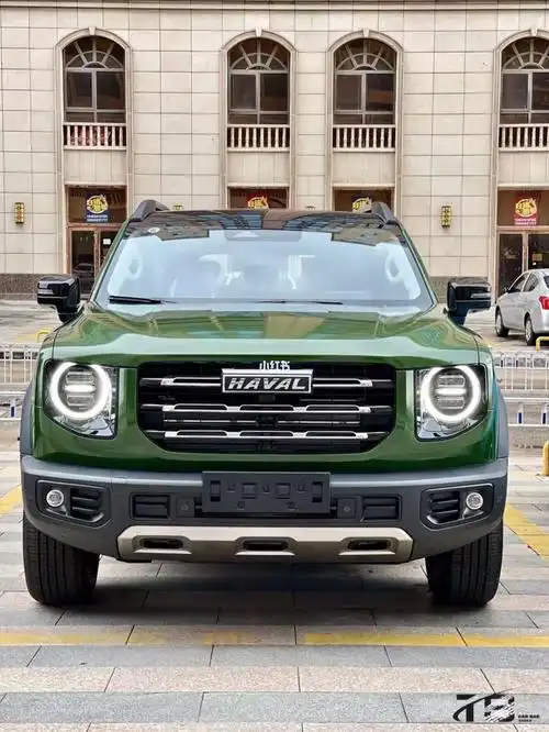 哈弗大狗改色案例分享