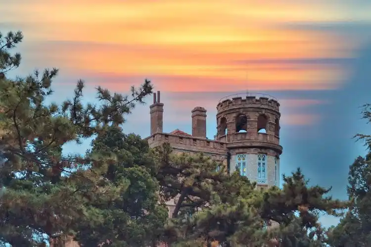 寒松掩映花石楼