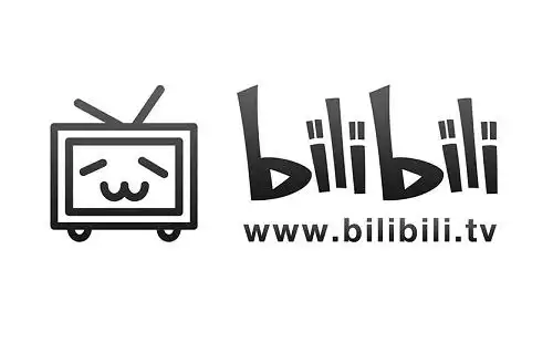 大会员制度未满月 b站(哔哩哔哩)就取消付费购买制度