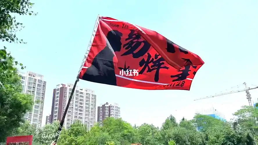 易烊千玺我为千玺举大旗