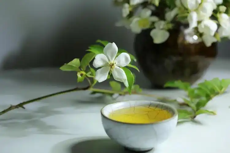 千变万化的茶香,你能分清几种?