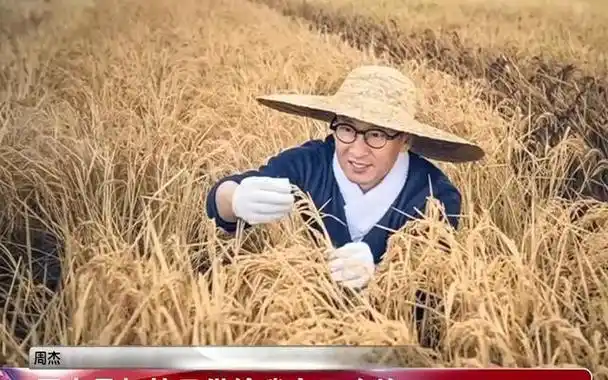 《少年包青天》开播22年,5位主演消失大半,1位老戏骨身体堪忧