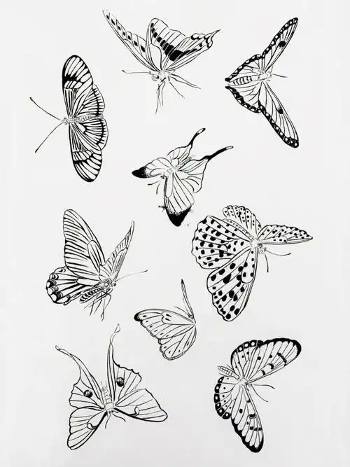 白描蝴蝶03冷静下来还是继续画完