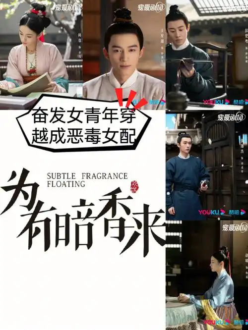 [doge]奋发女青年穿越成恶毒女配,在小说和漫画里蛮常见的但在电视剧