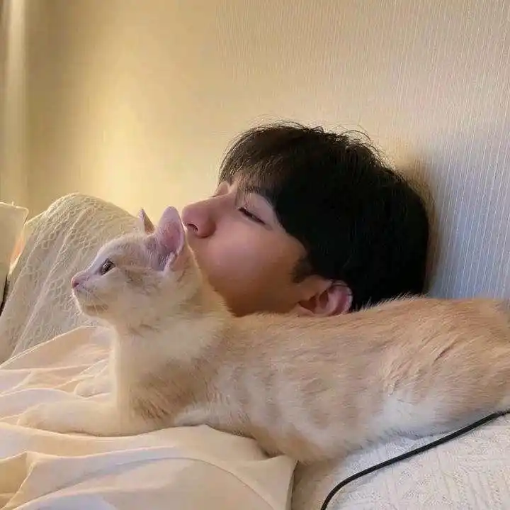 干净的男生头像