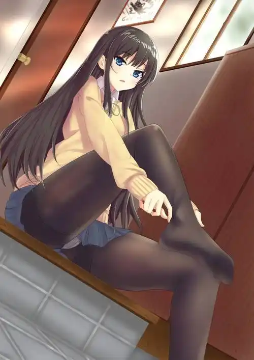 正文开始——本期"绅士超清图集"的主题为"丝袜",想必"二次元催生