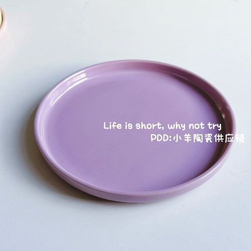 新款ins风纯色粉紫色西餐牛排沙拉平盘子宿舍食堂家用好看的简约