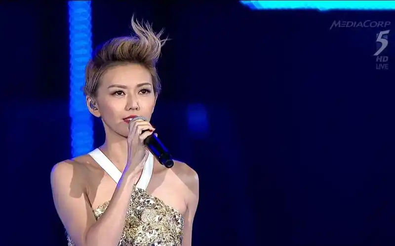 孙燕姿:一起走到;全心全意 in ndp2015