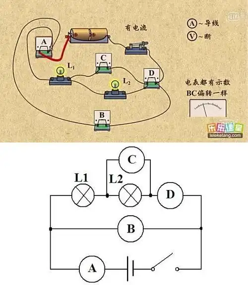 这个实物图的电路图怎么画?