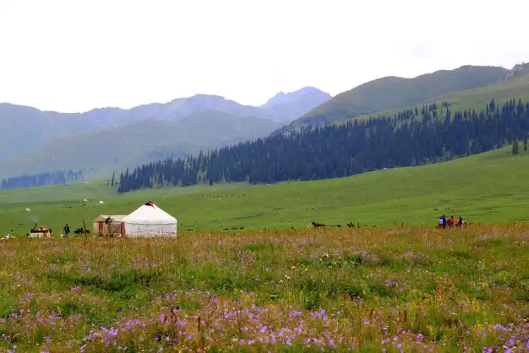 新疆行3-----那拉提草原风光