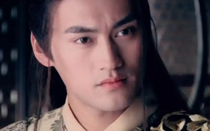 袁弘《射雕英雄传》【杨康】他容貌俊美,聪明机警,气质卓绝,一身锦袍