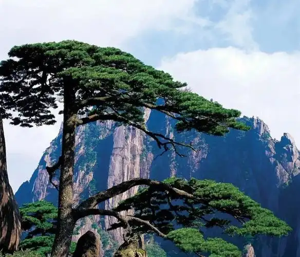 中国十大名山排名,谁应该排在第一位