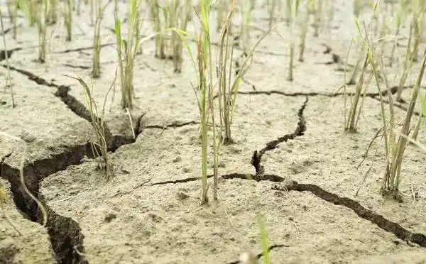 据自来水公司工作人员介绍,我市本就属于严重缺水城市,可用水资源较少