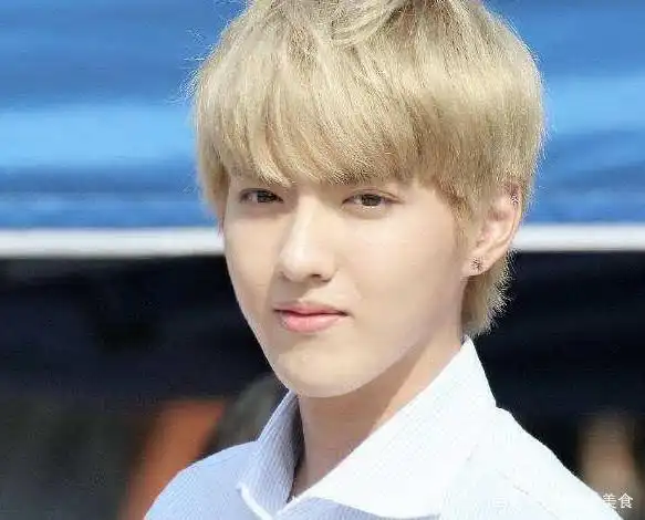 吴亦凡刚出道的时候,可是将"漫撕男"这个词诠释得非常到位,五官深邃