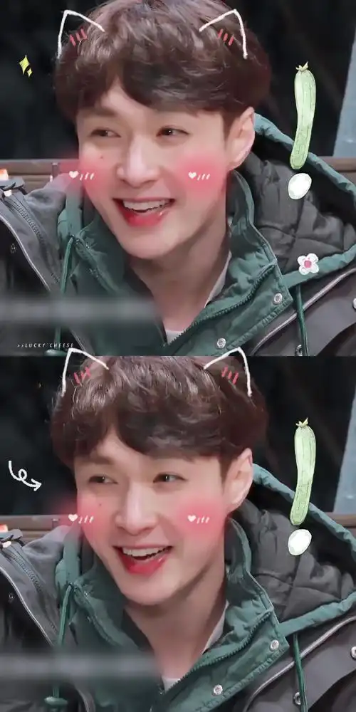 张艺兴向往的生活