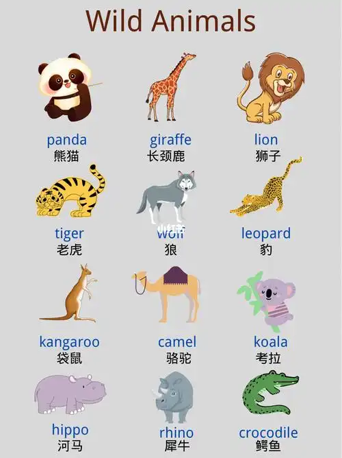 读来啦,请查收7815建议先收藏,便于今后复习巩固噢#英语启蒙这样