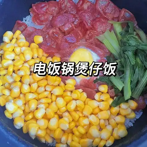 懒人煲仔饭60简单易学又好吃78