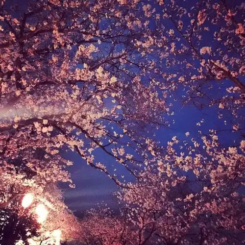 微信朋友圈背景图