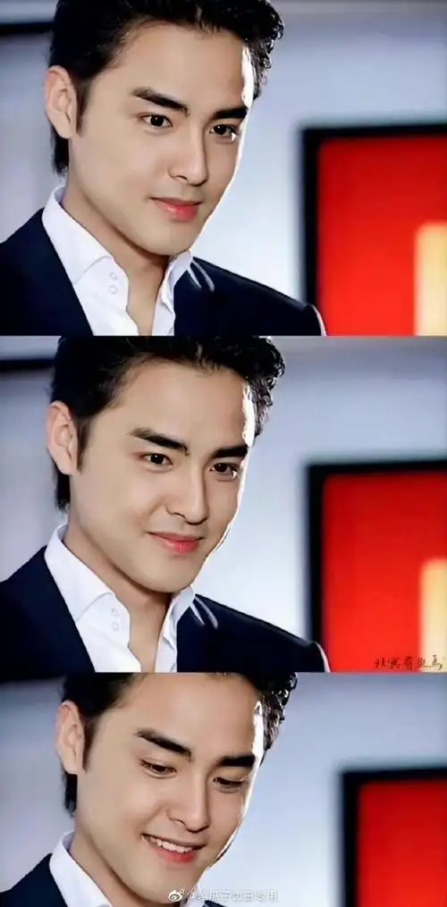 最受欢迎的台偶男主角