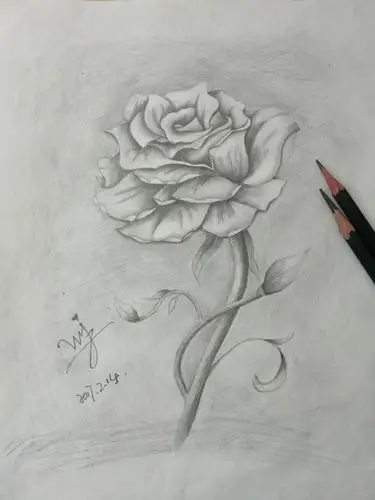 初学画画,请多指教