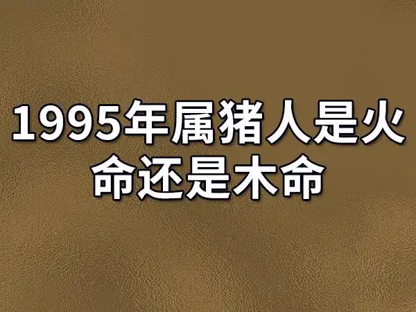 1995年属猪人是火命还是木命