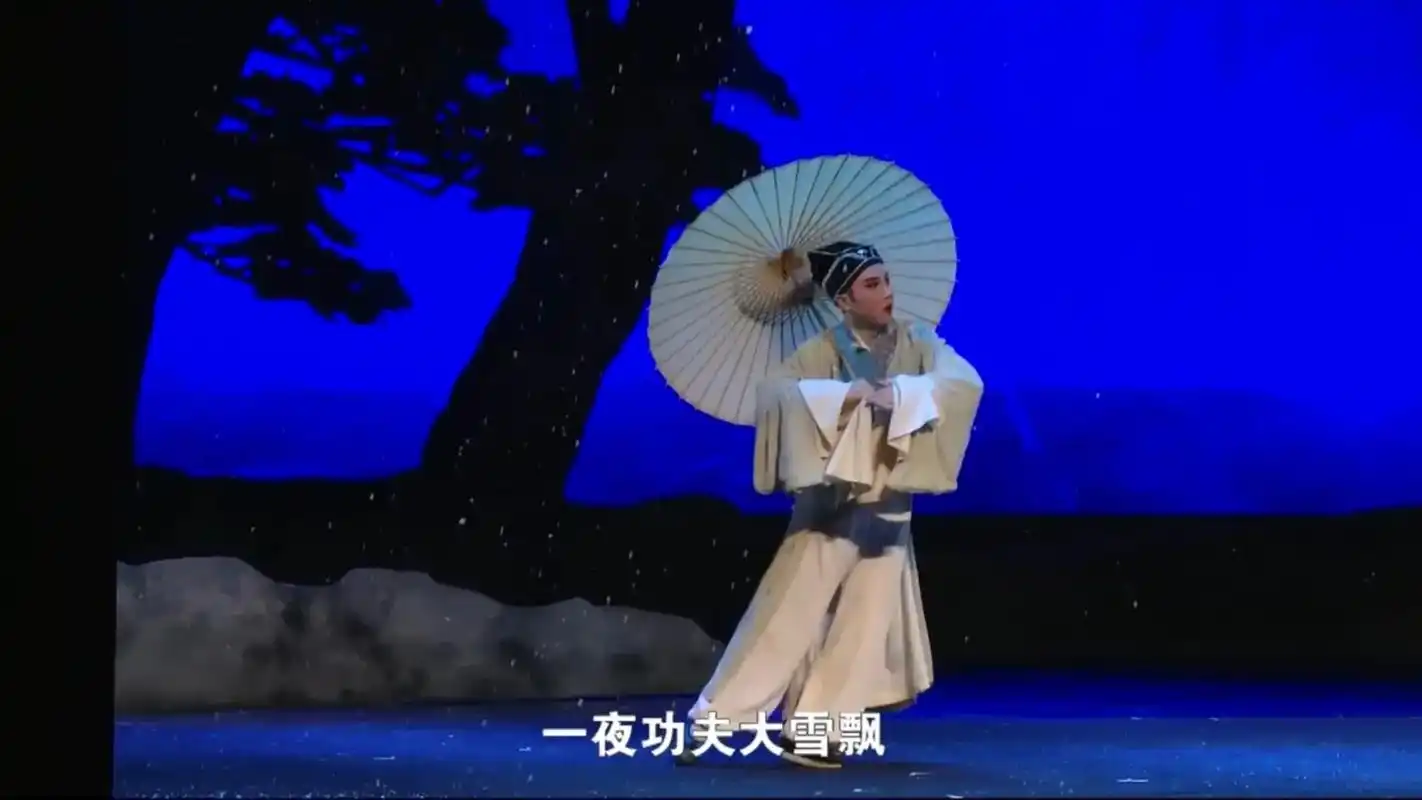 王子瑜无锡锡剧院当家小生.这表演表情表演的太细腻了