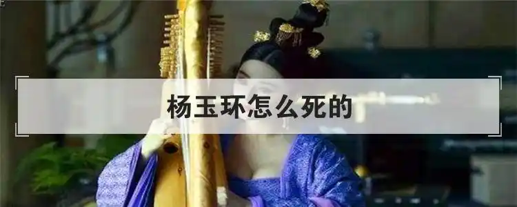 杨玉环怎么死的优质