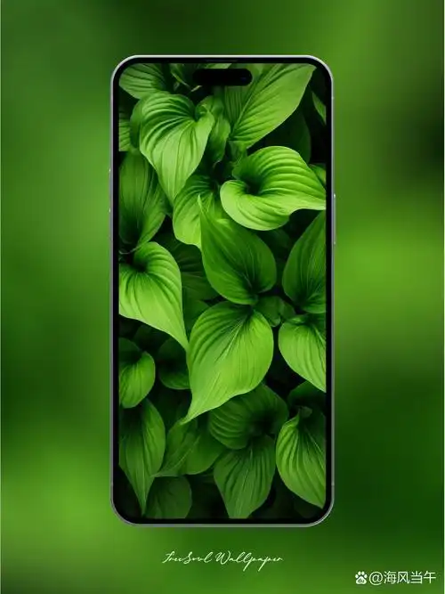绿叶系列 | 绿色治愈系壁纸 | 原创高清壁纸