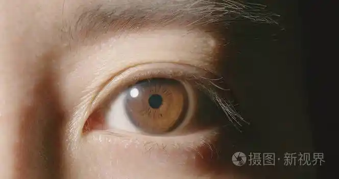 棕色眼睛的宏观拍摄