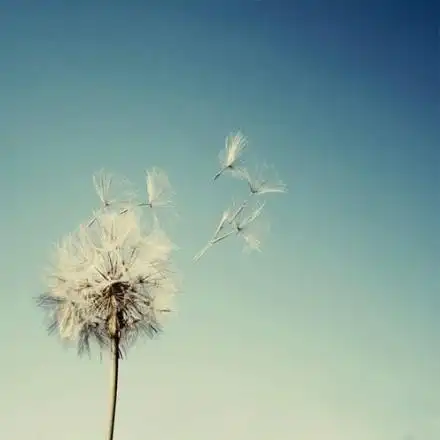 不努力走出第一步梦想只是做梦和幻想