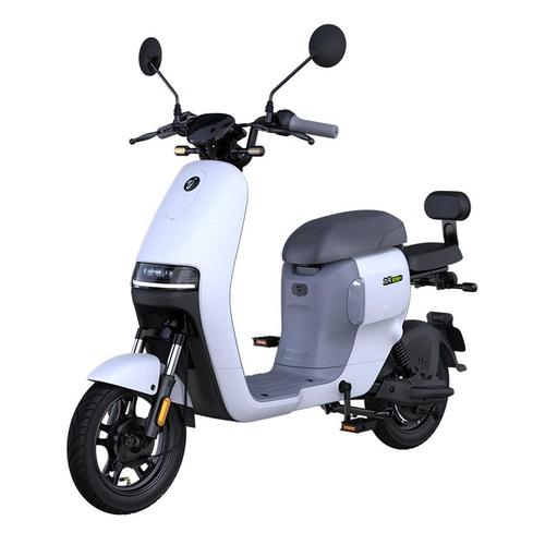 ninebot九号电动车锦鲤a60 电动自行车9号电动车新国标电瓶车