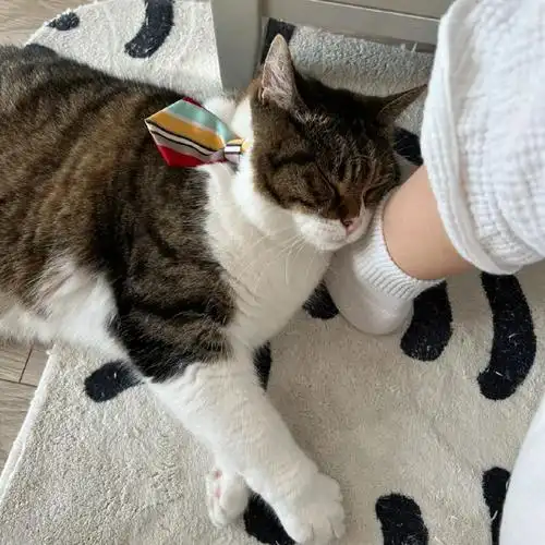 就喜欢枕着麻麻的香脚丫子睡觉