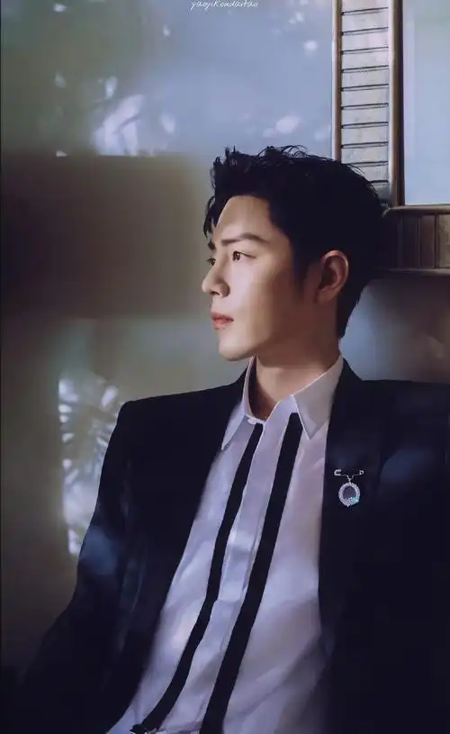 2021-01-19抖音星动之夜【肖战壁纸】 - 高清图片,堆糖,美图壁纸兴趣