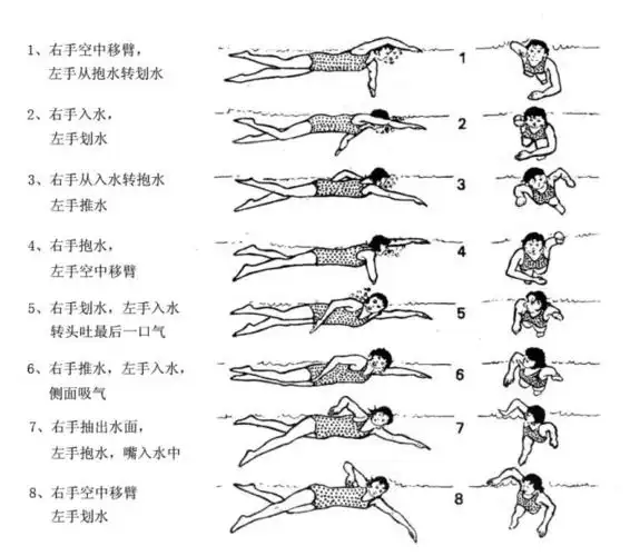 如何正确有效地学习自由泳