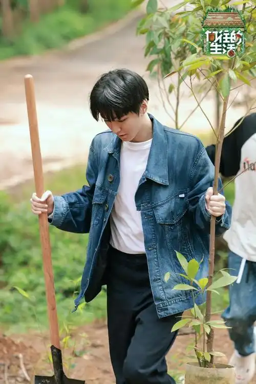 没想到周一了还能看到王俊凯向往的生活库存照