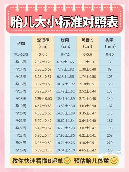 [点赞r][点赞r]上图帮大家整理了1～40周胎儿发育大小