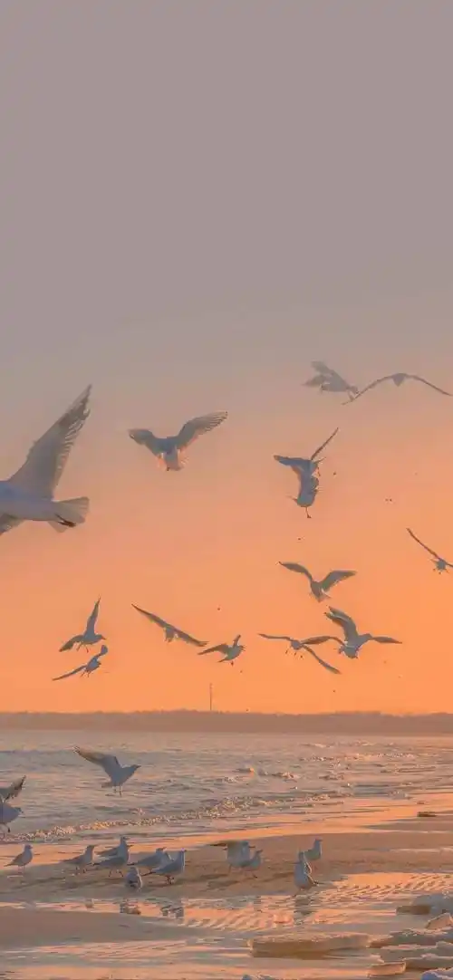 壁纸| ins高级质感壁纸_图文_原网