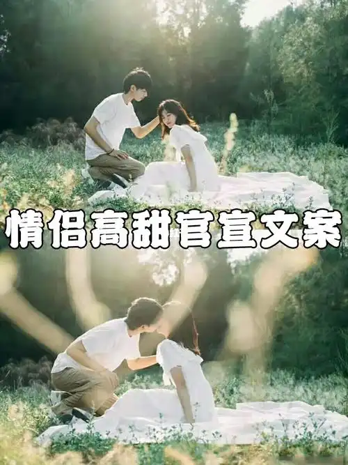 情侣官宣文案快去公布你的对象吧