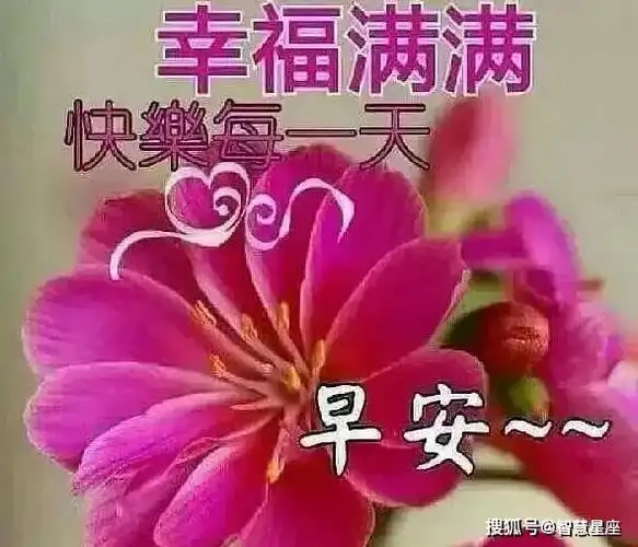 原创夏季非常漂亮早安问候图片带字温馨,早晨问候语动态图片表情