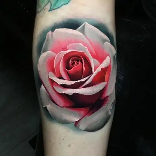 各种色彩的玫瑰花纹身图案欣赏你知道他的寓意吗_腾讯新闻